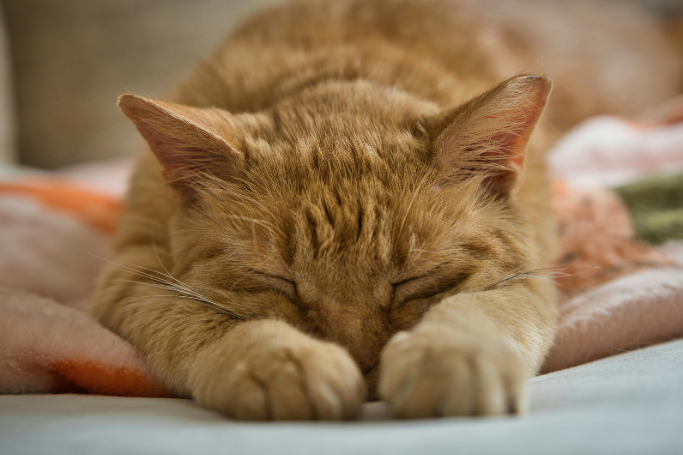 Make rest part of your life-strategy